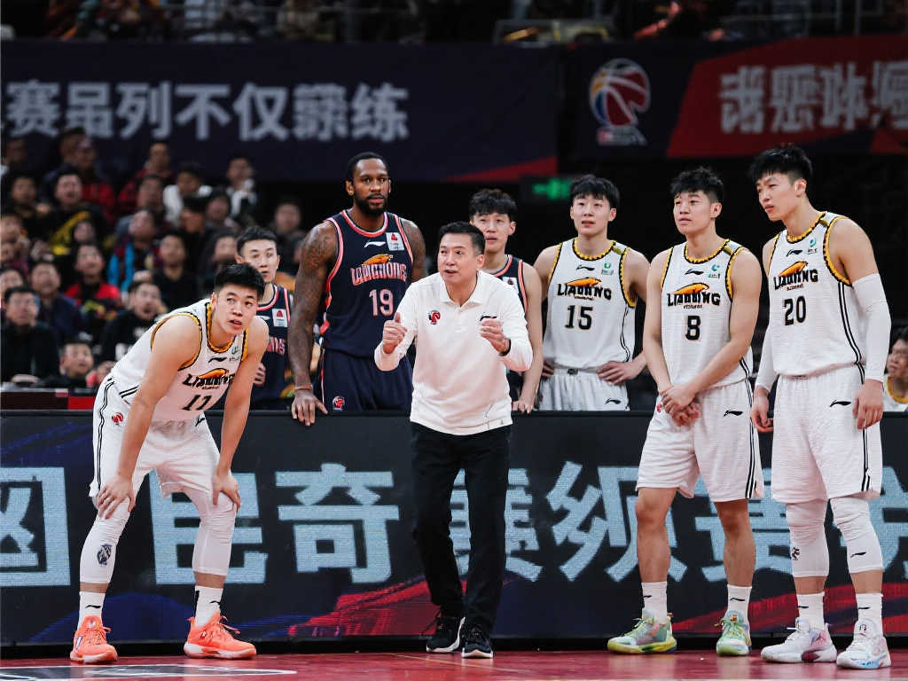 他们必须保